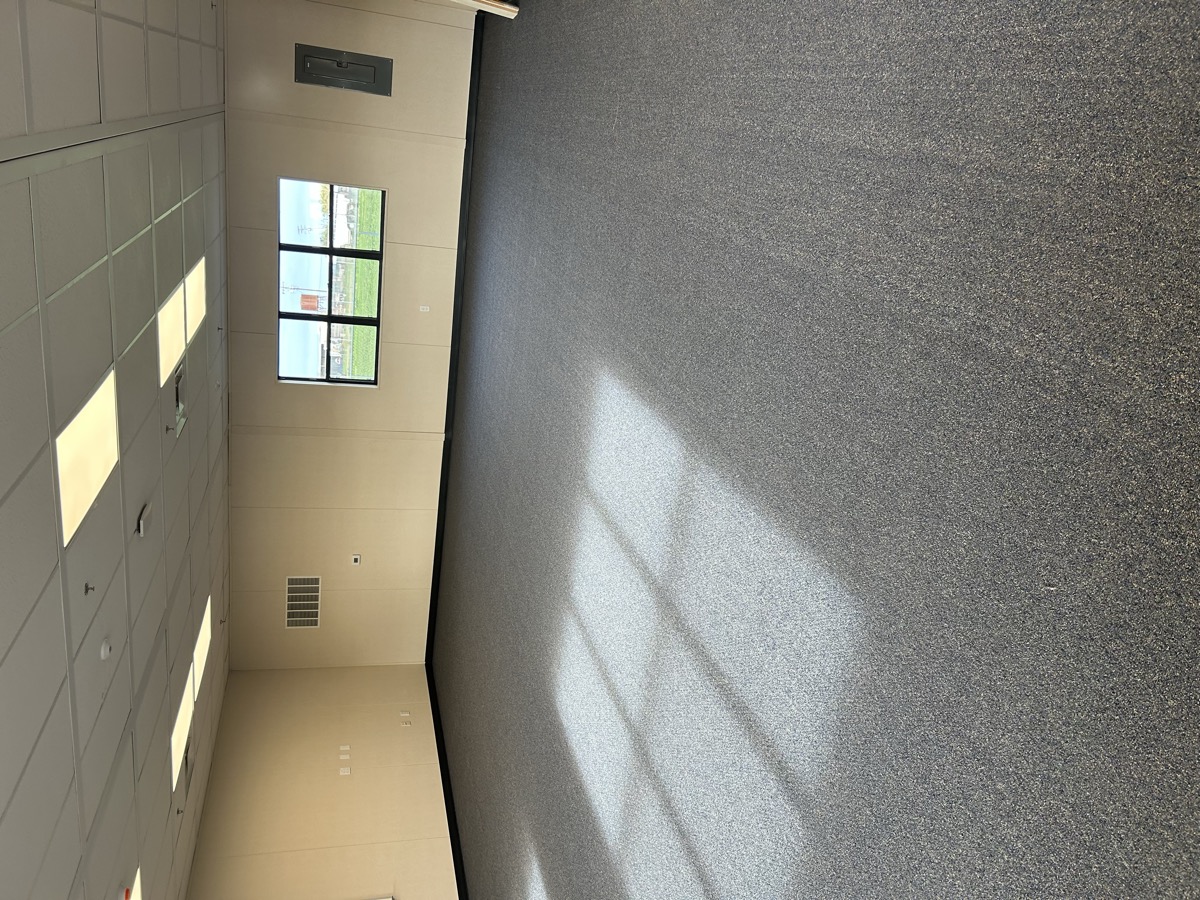 Tracy — carpet commerical